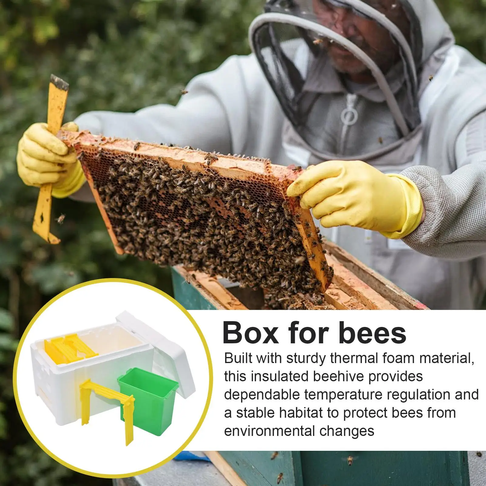 Queen Bee Rearing Mating Beehive Beekeeping Tools Foam Beehives NucHarvest Pollination BeesHive Box Gardening Supplies