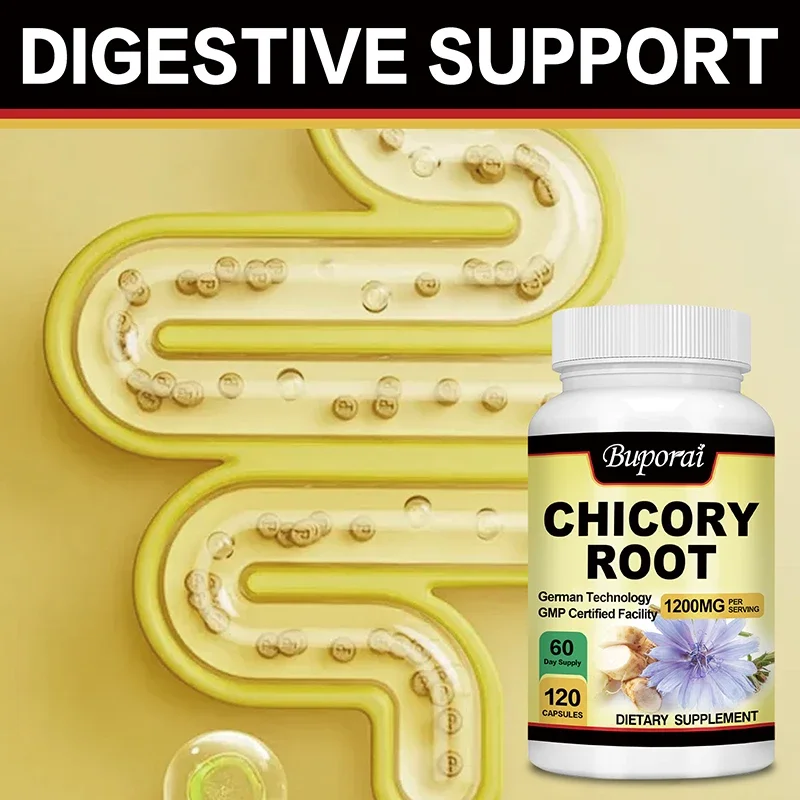 Chicory Root - Supports Gut Health and Digestive System, Increases Energy