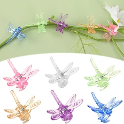 Clips de orquídeas para plantas de jardín, pinzas de plástico reutilizables, Libélula, mariposa, soporte para flores, vid, Ornamental, 10-60 piezas