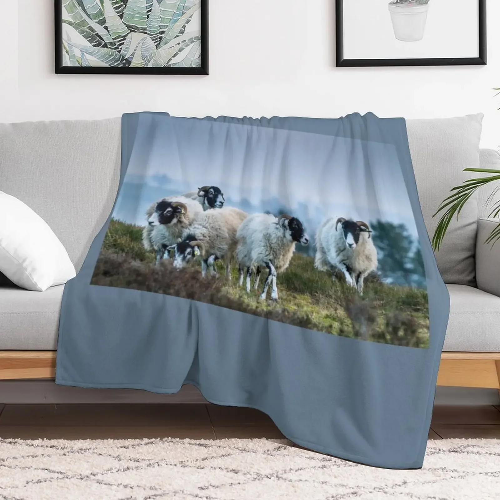 Swaledale Sheep on Stanton Moor Throw Blanket blankets ands Sofas wednesday Blankets