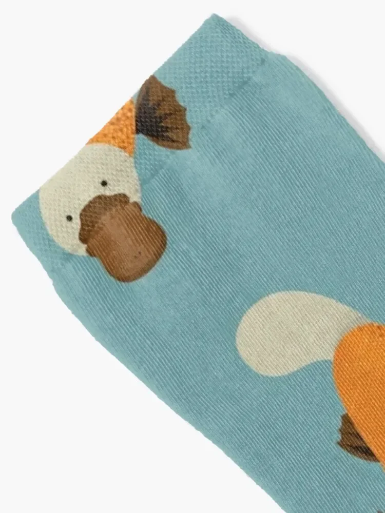 Whimsy Platypus Meias Escalada aquecidas essenciais Novidades Meias Femininas Masculinas