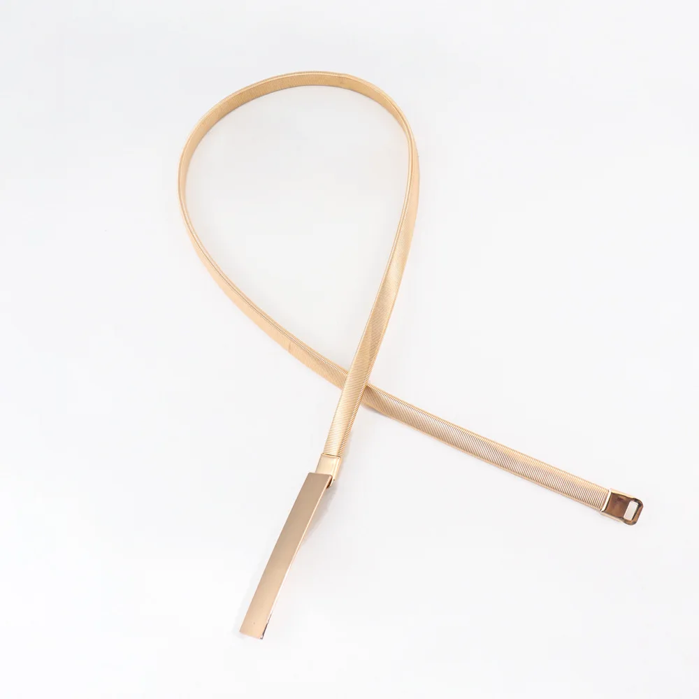 Nova corrente de primavera moda metal elástico cintura corrente longa fivela cinto fino versátil saia corrente