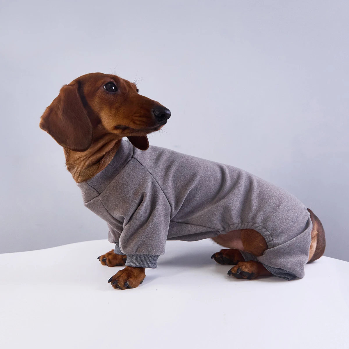 Abrigo de Forro Polar Grueso de 4 Patas para Perros Salchicha, Mono de Manga Larga para Perros Badger, Sudadera Cálida de Color Sólido para Perros Dachshund