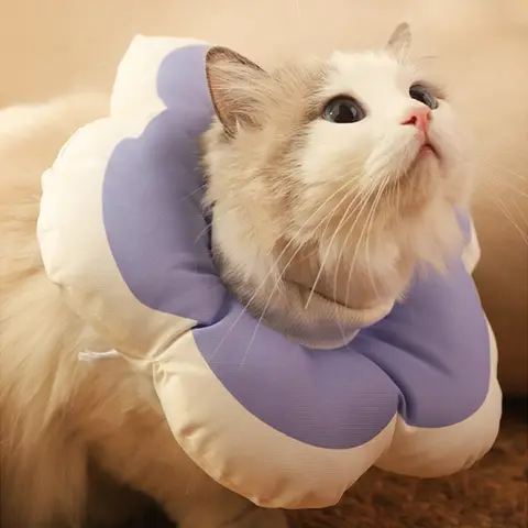 Cat Flower Elizabeth Cotton Neck Pet Collar Adjustable Anti-Bite Surgery Cute Solar Flower Neck Cone Beauty Head Cover