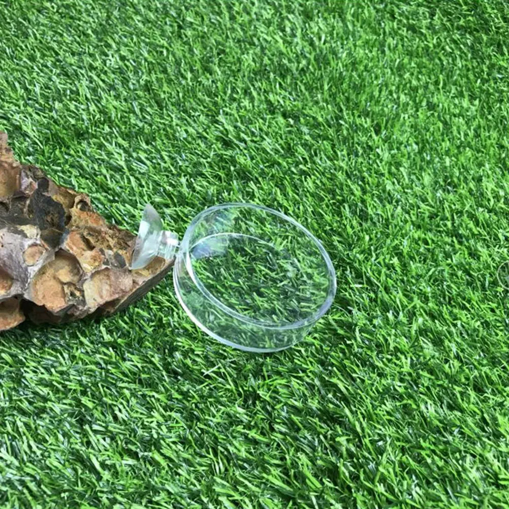 

6Pcs Feeding Dish Acrylic Fish Feeder Bowl for Aquarium Reptiles Food Holder Clear Tank Accessories Storage Basin