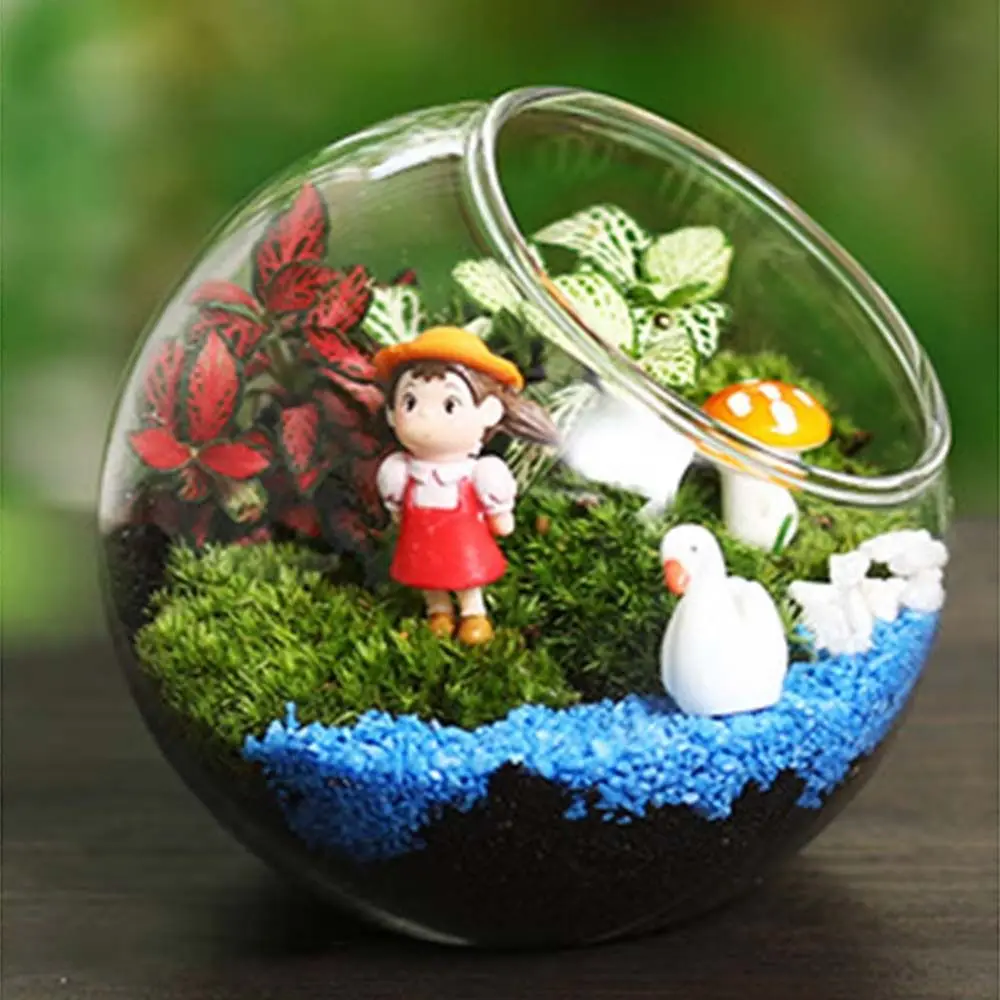 Creative Micro Landscape Transparent High Borosilicate Glass Vase Moss Succulent Plant DIY Ecological Bottle Home Decoration