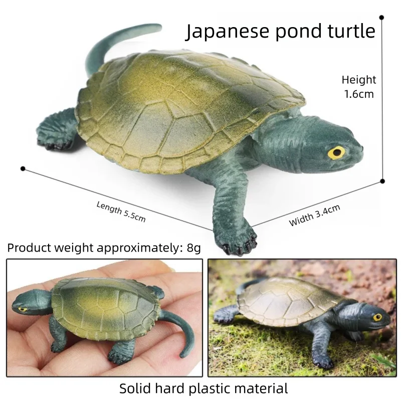 Oenux Simulations-Schildkröten-Set: Alligator, Galapagos-Schildkröte, Chinesische Weichschildkröte Figuren und Puppen – Detail 27