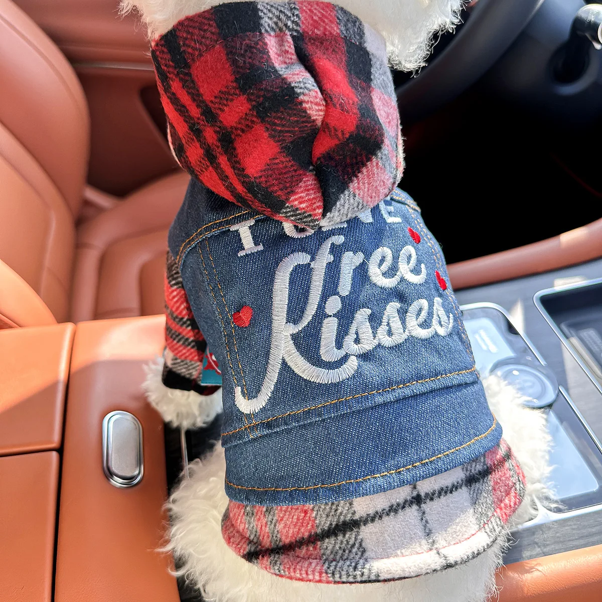 Free Kiss