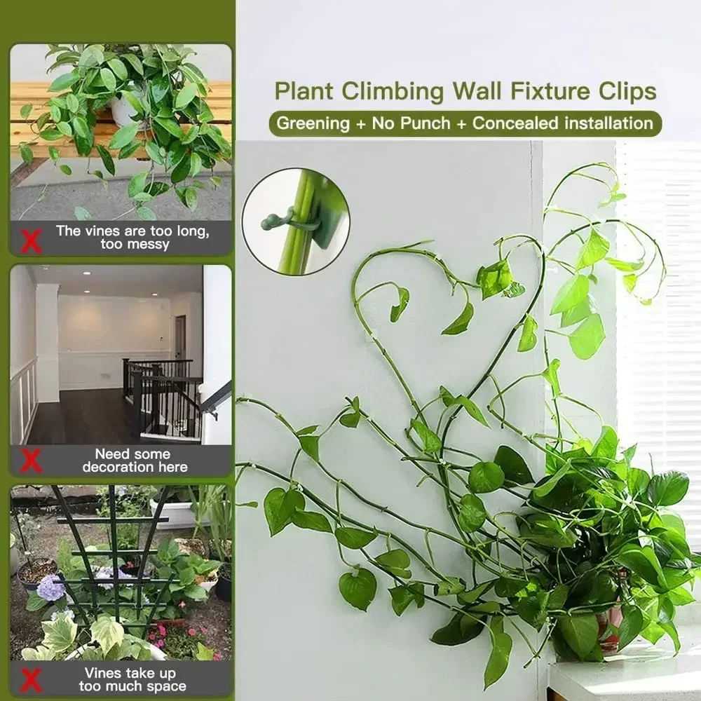 1/30/50 قطعة لملحقات الحدائق أ - مراجعة Wall Anchor Plastic وسعره