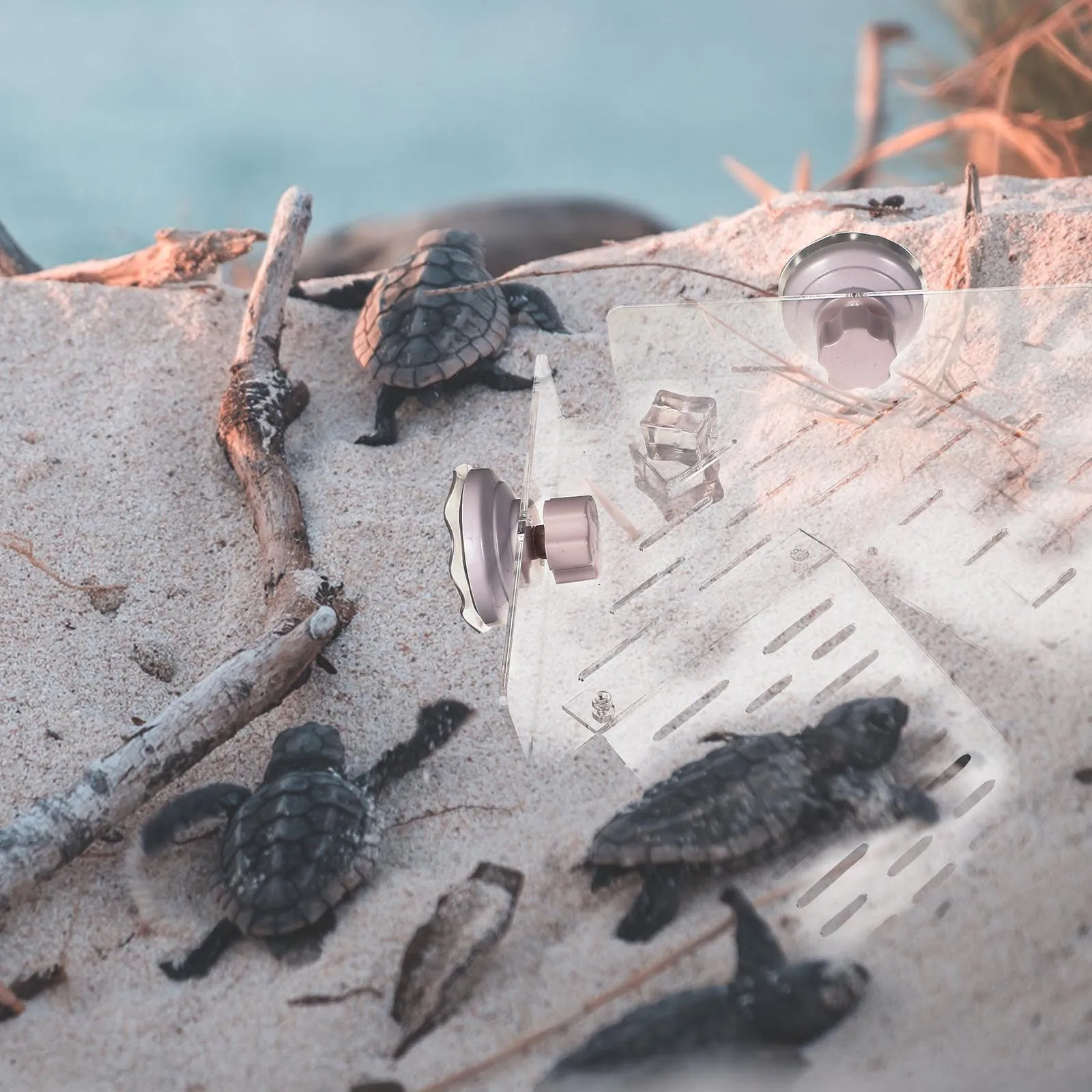 

Turtle Basking Acrylic Reptile Habitat Terrace Breeding Tortoise Tank Terrace Resting Tank Decor For Tortoise Safe Durable