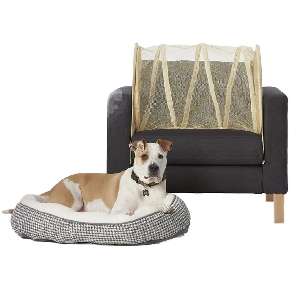 

Protect Your Furniture from Pet Mishaps with Beige Covers