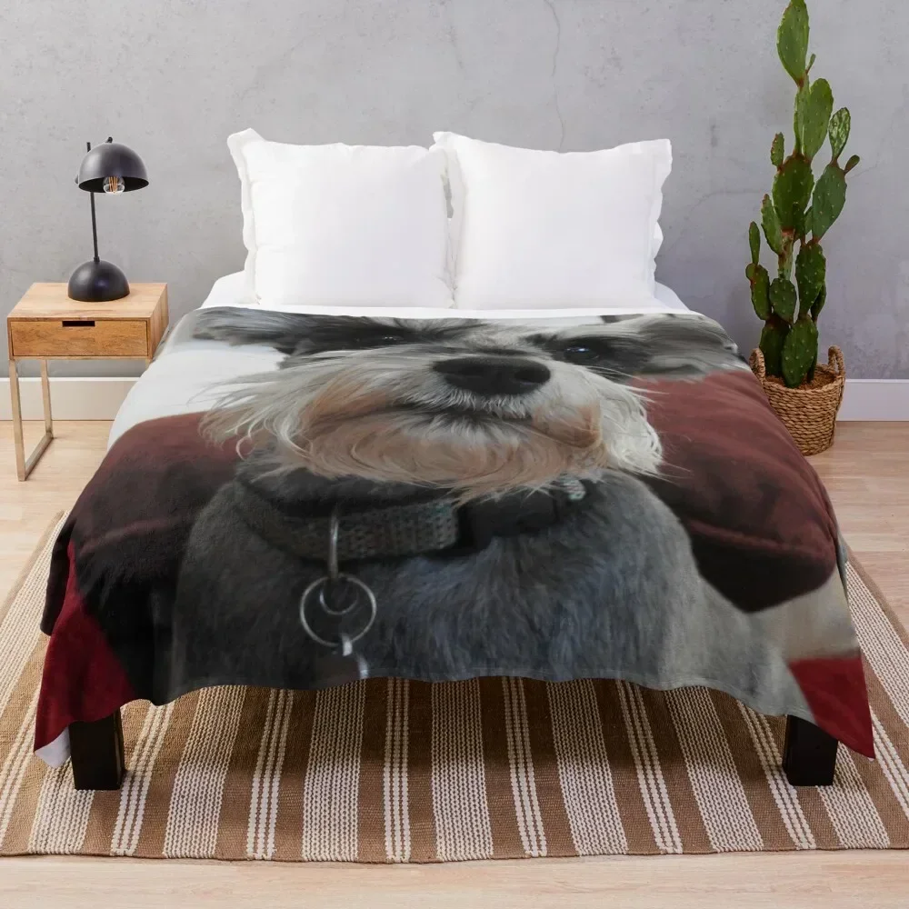 

cute christmas Schnauzer Throw Blanket Warm Furrys warm for winter Bed covers Blankets