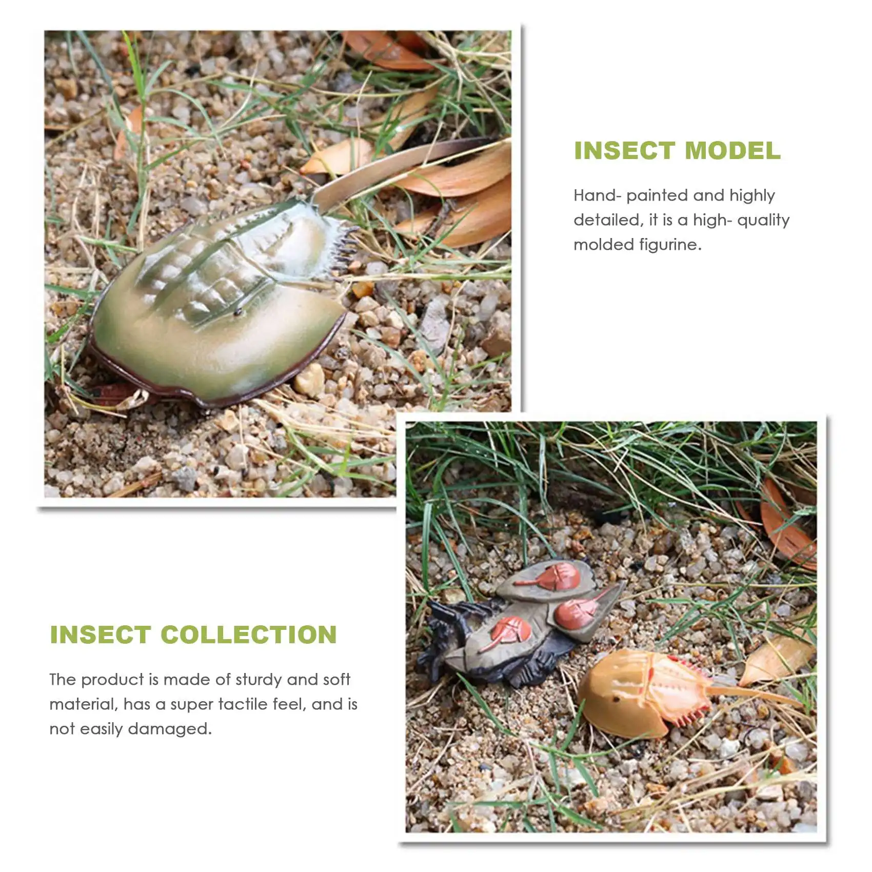 Simulation Horseshoe Crabs Growth Cycle Model,Insect Life Cycle Action Figures Model Life Cognition Model Ornaments