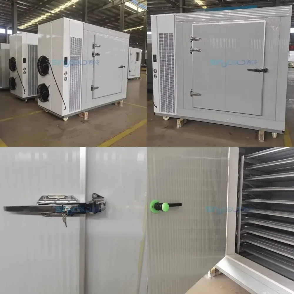 2.9*1.2*2m -40°C Commercial Large Capacity 40 Trays Refrigerator Blast Freezer Room 380V 50hz for Dumpling Dough Buns Seafood