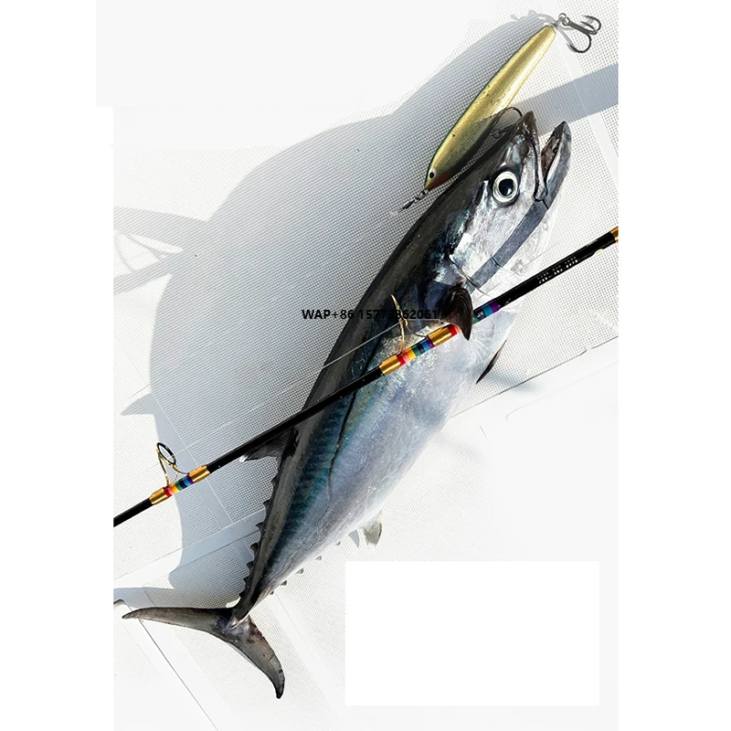 

GT-FISHER RTP 80M 3 Sections 8' Medium Fast Action Hard Power Popping Rod 25kg Drag Saltwater Fishing Rod 50g-140g Bait