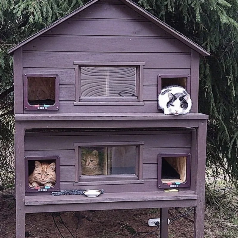 Outdoor sunscreenilla outdoor cotton rainproof and cold-proof courtyard cat room, nest stray  solid wood warm do
