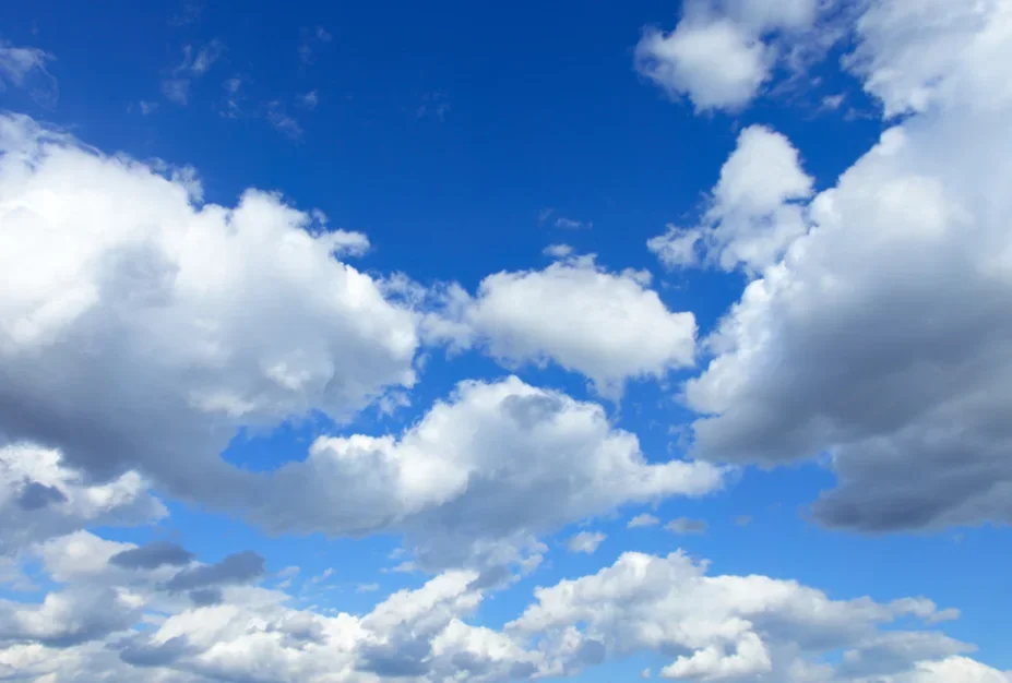 

Специальные категории Alconstar, пожалуйста