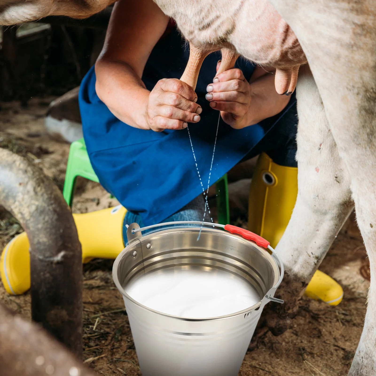 

Stainless Steel Bucket Heavy Duty Utility Cleaning Pail Goat Milk Storage Container Lid Metal Cover Thicker for Home
