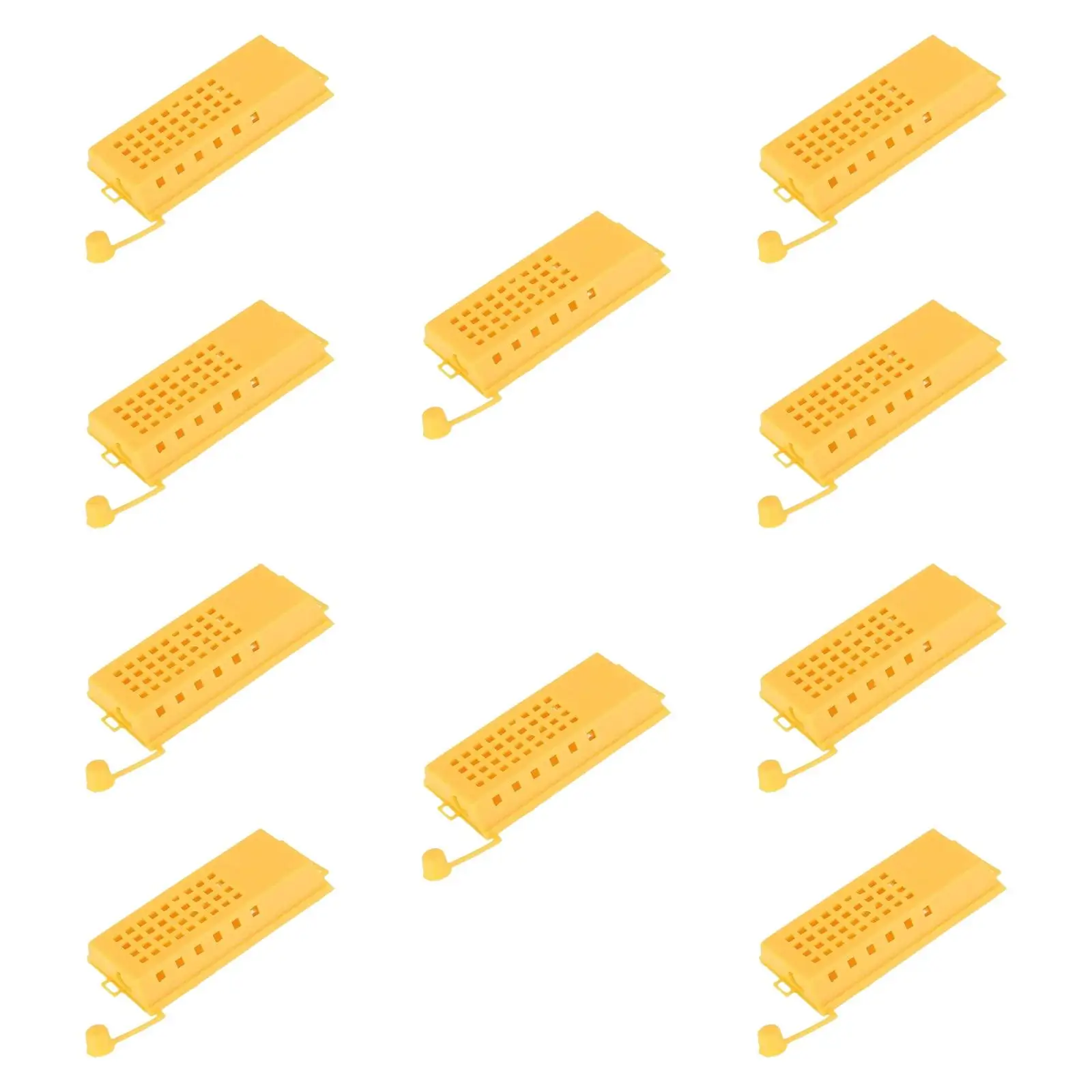 Queen Bee Cages 10 Pack PP Plastic Rearing Cups Beekeeping Tools Transport Box for Hive Setup