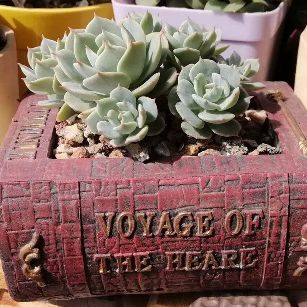 Succulents Pot Book Shape Flower Pot Desktop Ornament Tabletop Flowerpot Plant Container Garden Balcony Decor Plant Container