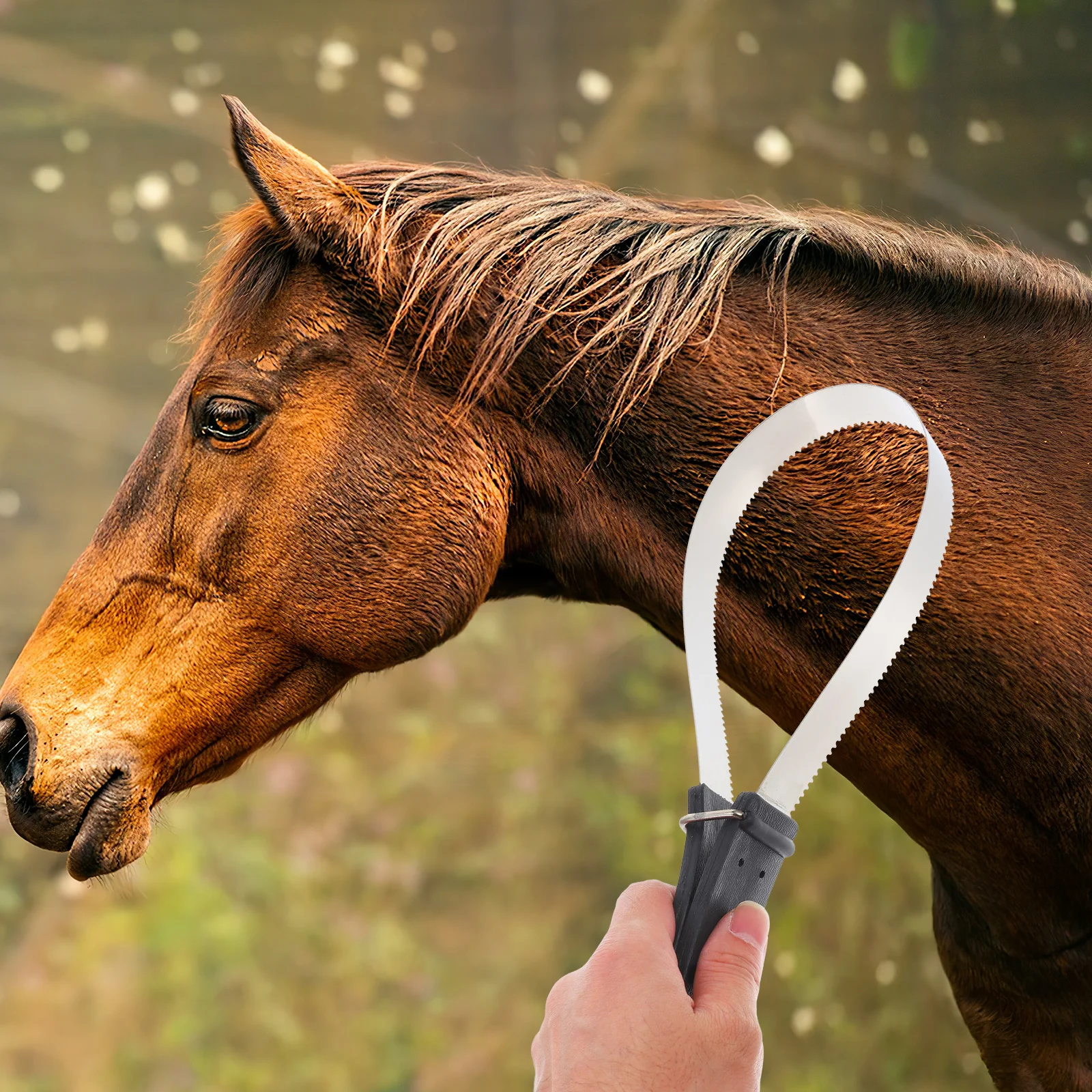 Brosse grattoir en crin de cheval, outils de toilettage en acier inoxydable, brosses pour animaux de compagnie, nettoyage d'équitation, hangar Durable