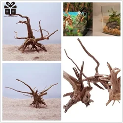 Natural Tree Trunk Driftwood Aquarium Fish Tank Reptile Cylinder Roots Plant Wood Decoration Ornament Accessory Aquarium Plants