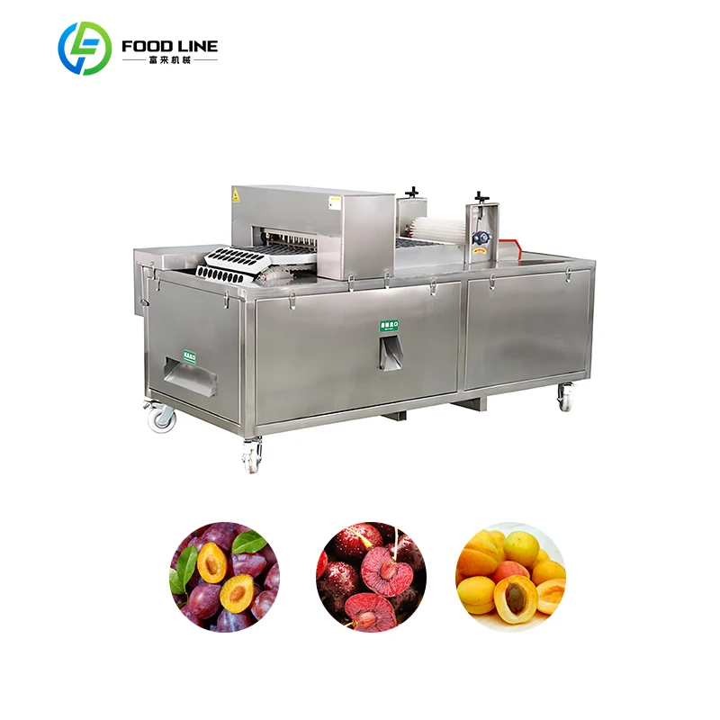 FL Custom Fully Automatic Cherry Pitting Machine with Labor Saving Function for Processing Lines