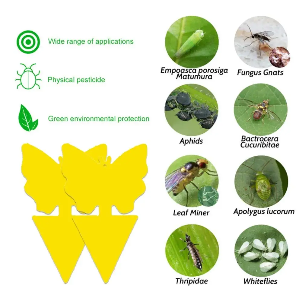 Landisun Fruchtfliegenfallen Pilzmückenfallen für Innen- und Außenbereich Gelbe Klebefallen für Fruchtfliegen Pflanzen Fliegende Insekten Fallen – Detail 2