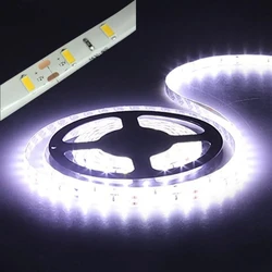 Cinta de diodo verde impermeable para exteriores, tira de Led blanca de 12V, 5M, 2835, 60 Led/M, azul, rojo, amarillo, cinta de cuerda de hielo cortable