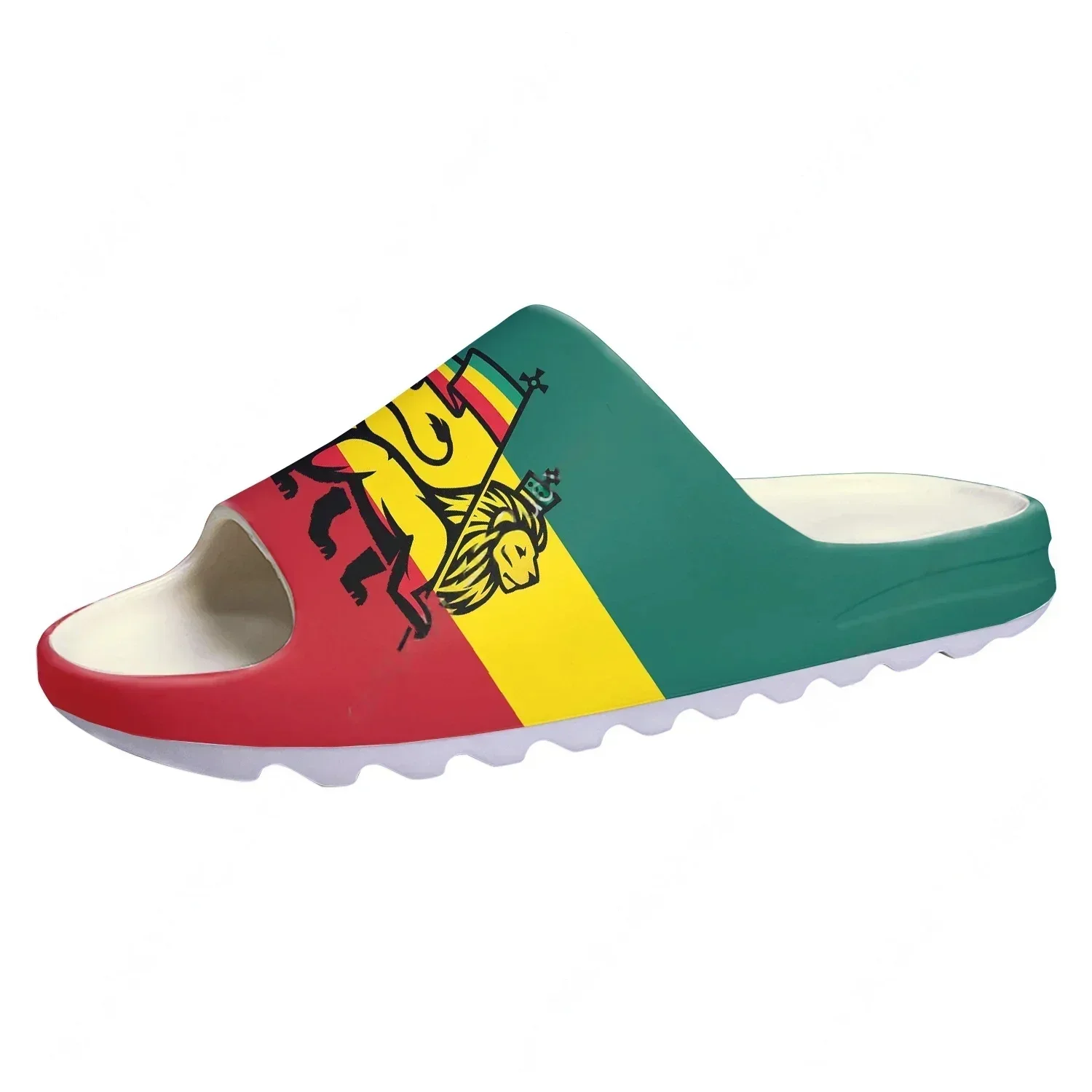 

Сандалии унисекс с мягкой подошвой в стиле регги, растафари, с изображением Льва Иуды, для пляжа и активного отдыха на воде