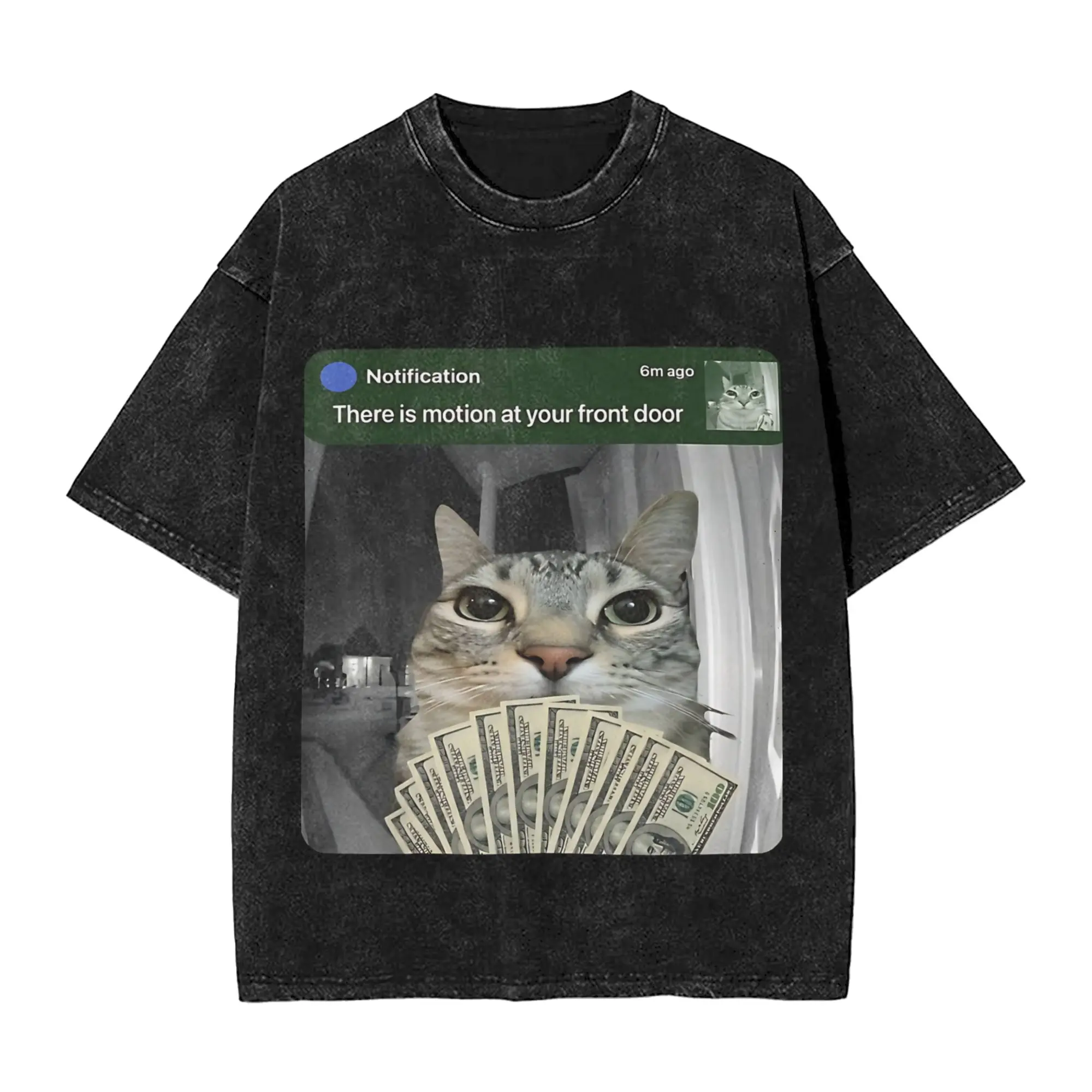 Ring Cat with Motion Meme   Outfit Washed T Shirt Men Women Streetwear Hip Hop T-Shirt Graphic Printed  Tees Short Sleeve