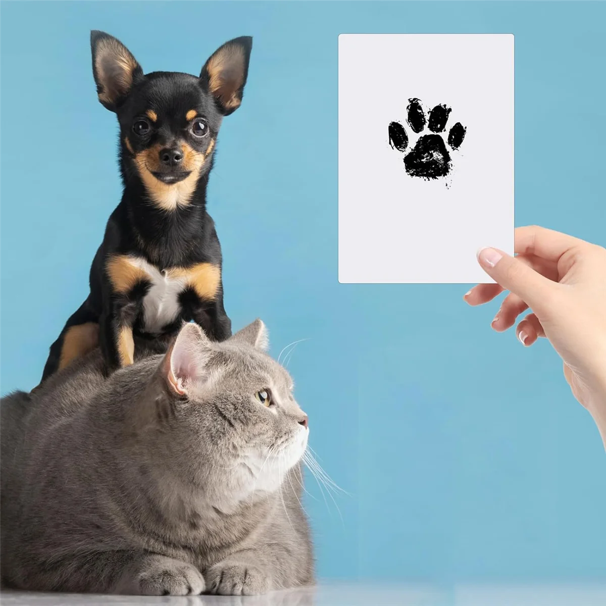 

ABNQ Print Kit for Dog Cats, 4 Inkless Print Pads, 8 Imprint Cards, Nose Print Stamp Pad for Dogs, Touch Footprint Kit