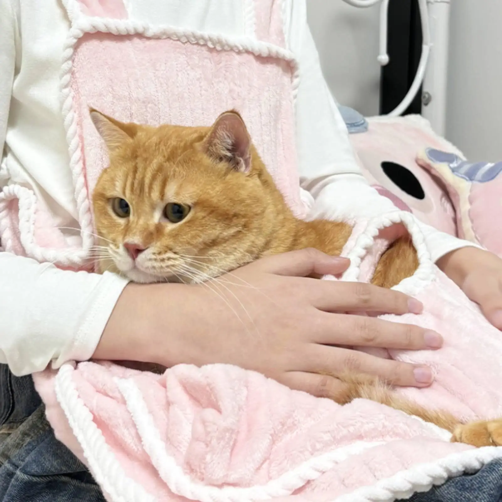 Cat Holding Apron Hair-Resistant Pet Pouch Apron Hands Cuddle Pouch Cat Carrier