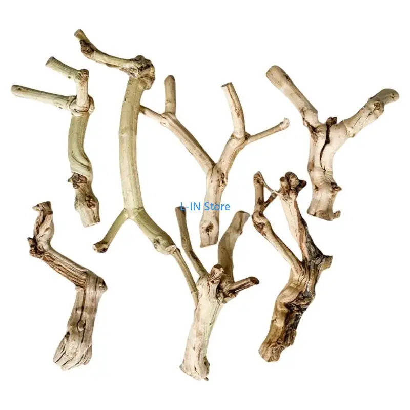 Tronc Bois Flotté pour Lézards Geckos pour Terrariums Reptiles Tronc Paysage