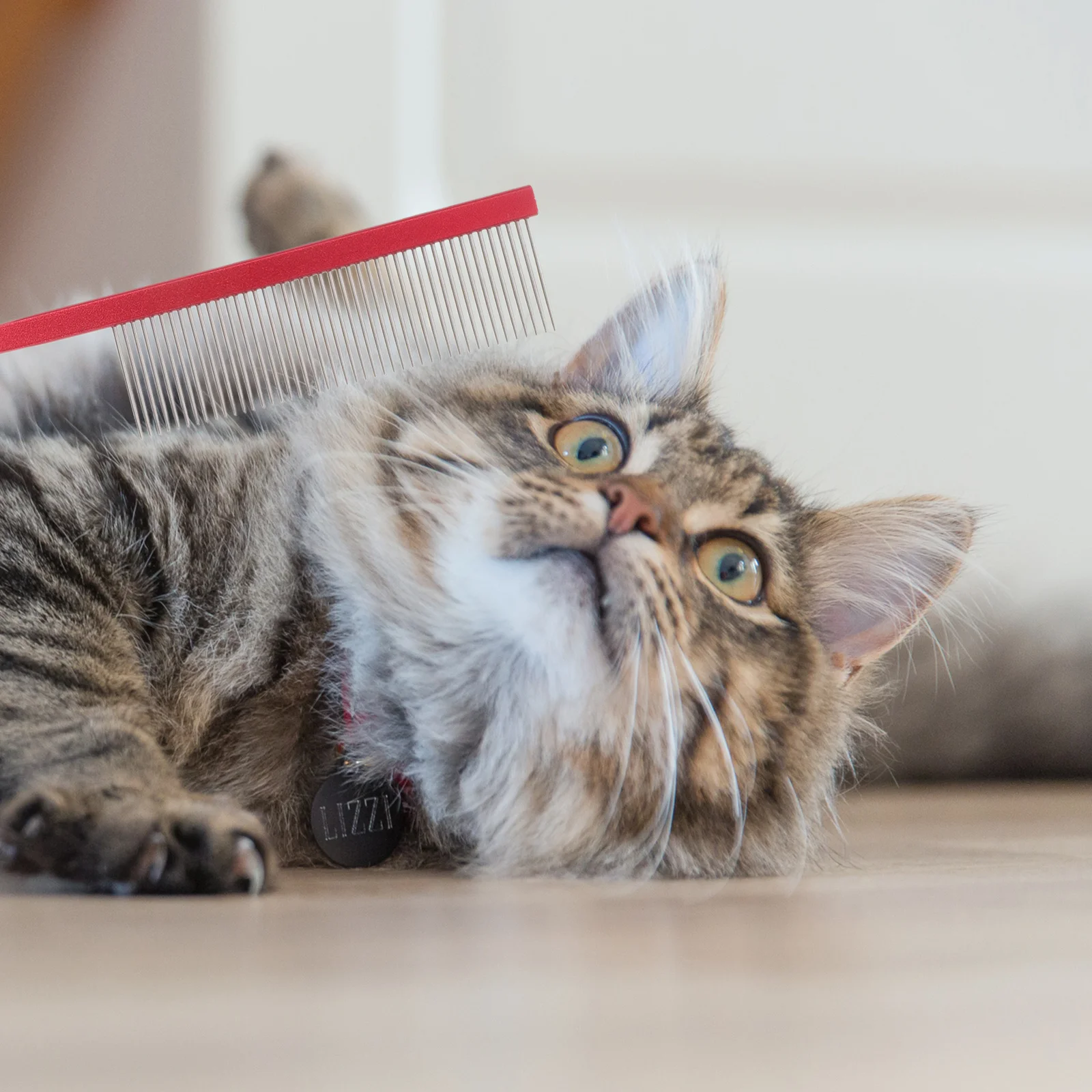 

3pcs Stainless Steel Pet Durable Dog Cat Metal Brush For Deshedding Tangles Hair Removal Fine Tooth Ergonomic Handle Dematting