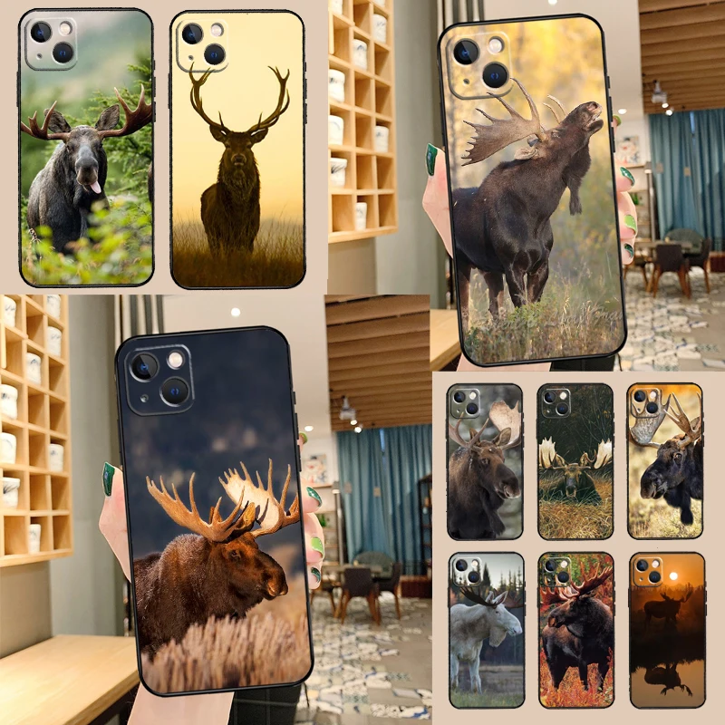 Stag Bull Moose Rei…