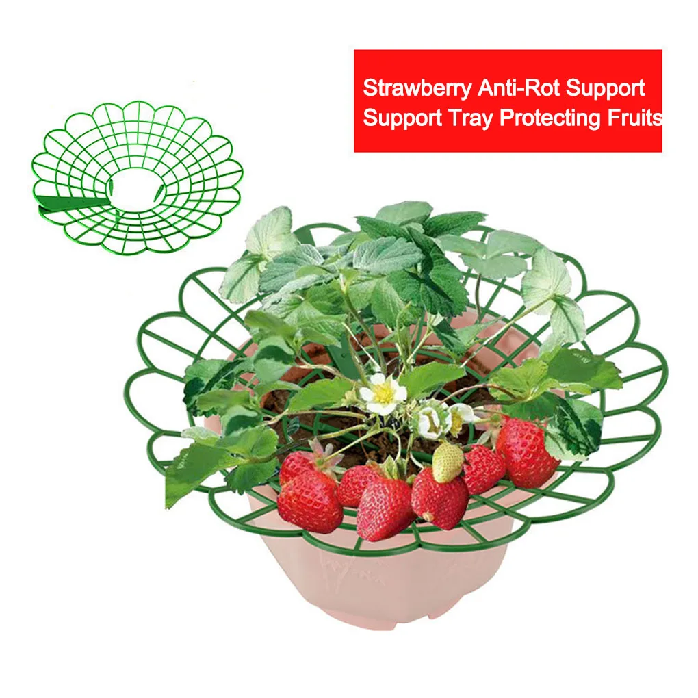 

10pcs/set 10 Strawberry Mats | Growing Racks Stand For Garden Strawberry Plant Support Set