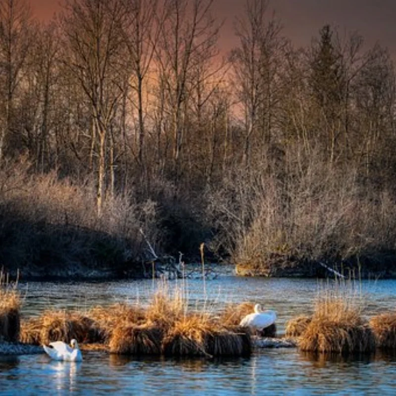 

Для MJX Hyper Go 1/16 16207 H16BM-PL 1/14 14210 H14BM 14301-02-03 детали радиоуправляемых автомобилей, обновленный металлический передний и задний дифференциал