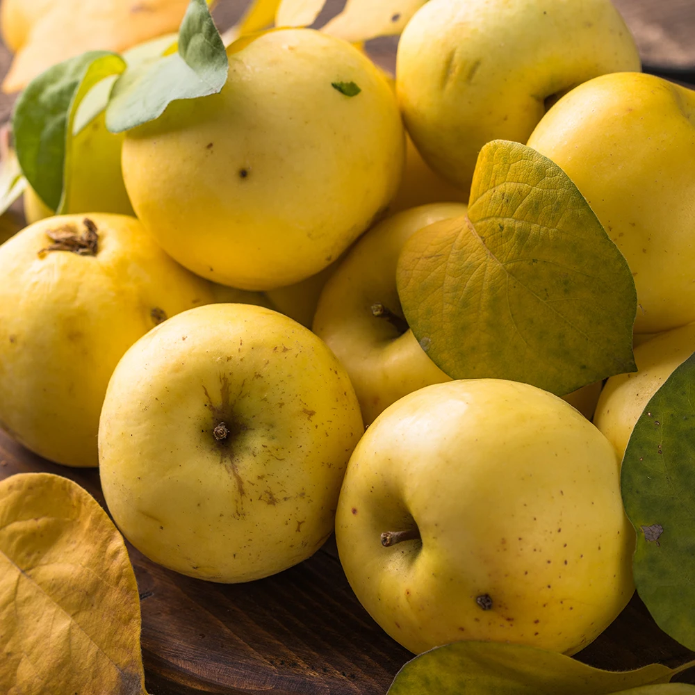 [اختيار الصفقة] أندونج شينانو تفاح ذهبي فواكه صغيرة 10-13 و حوالي 2 كجم للاستخدام المنزلي