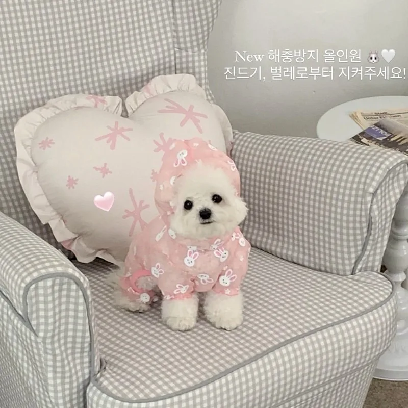 Summer Pet Mesh Dog Jumpsuit, Mosquito Bite Proof Cartoon Rabbit Pattern Four-legged Clothes for Small Dogs Teddy view 6