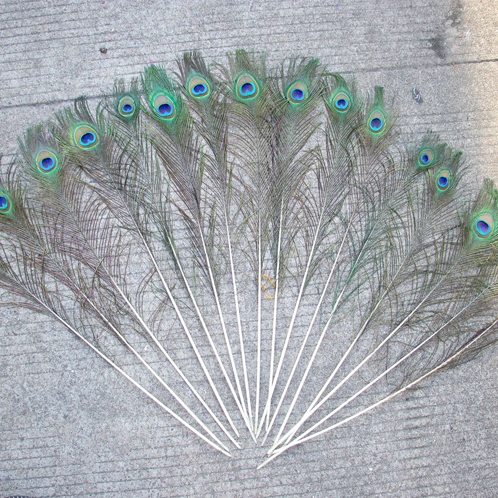 10PCS Natural Peacock Feathers Decoration Centerpiece Home Vase Ornament Chicken Rooster plumas Jewelry Earring Headdress Diy