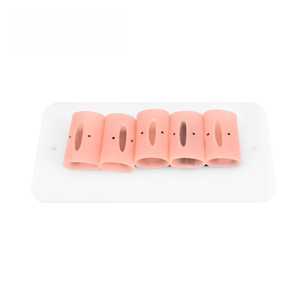 

Extracorporeal / Intracorporeal Suture Module for Medical Suture Training Module FLS Intracorporeal Suture