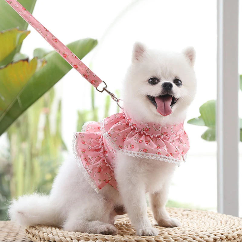 Lace Floral Dog Cat Harness Leash Set For Small Dogs Dress Cute Adjustable Pet Harness Vest Breathable Mesh Running Walking Lead