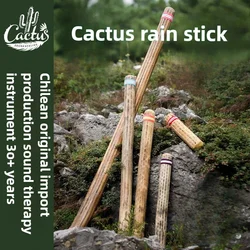Chilean Cactus Relaxing Rain Stick Sound Therapy Yoga Meditation Rainmaker Shaker Healing ASMR Musical Orff Instruments