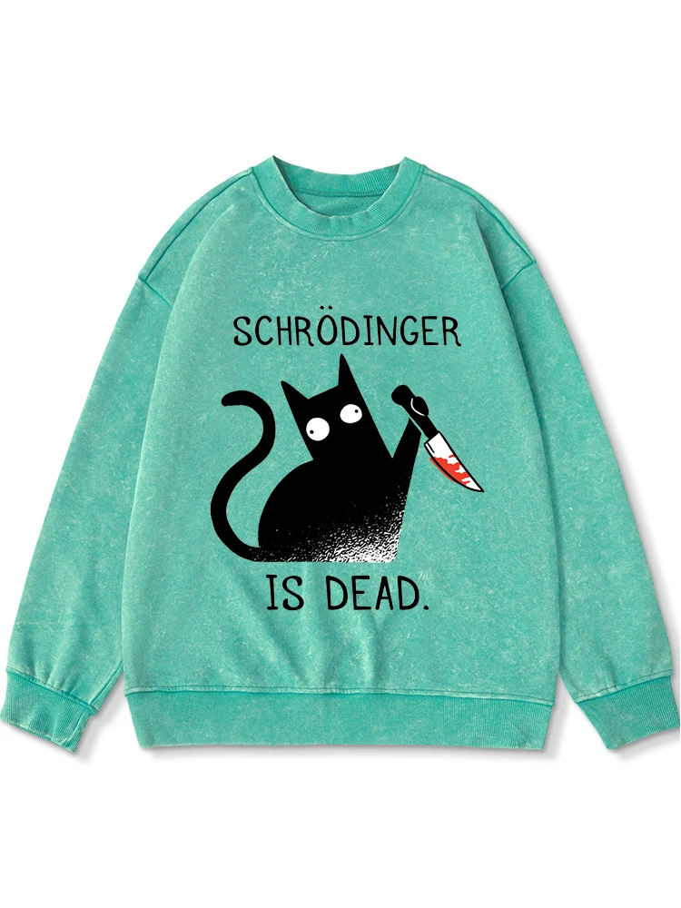 

Schrodinger Is Dead Printing Washed Hooded Women'S Retro Crewneck Autumn Oversize Hoodie Simple Distressed Cotton Streetwear