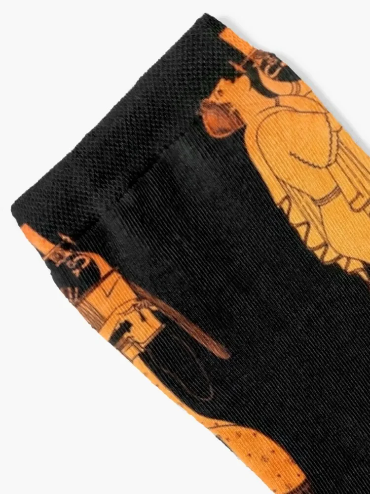 Attic Greek Lyre player by the Berlin Painter Socks cool christmas gift Socks Women's Men's