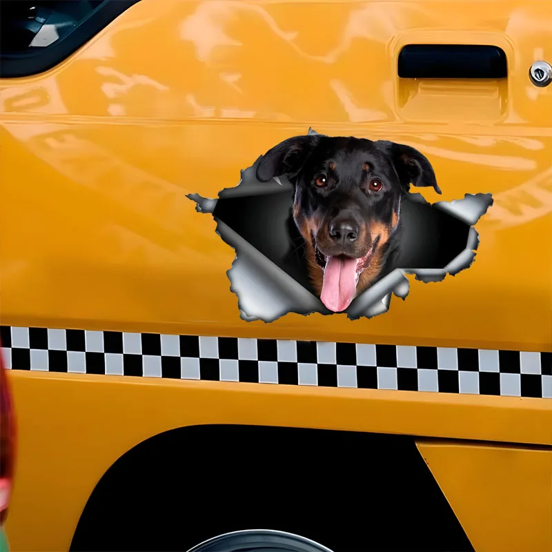 DK570 #   ملصقات سيارات Beauceron تحجب الخدش ذاتية اللصق مقاومة للماء، تستخدم للسيارة والكمبيوتر المحمول والدراجات النارية والشاحنة والمركبات الترفيهية