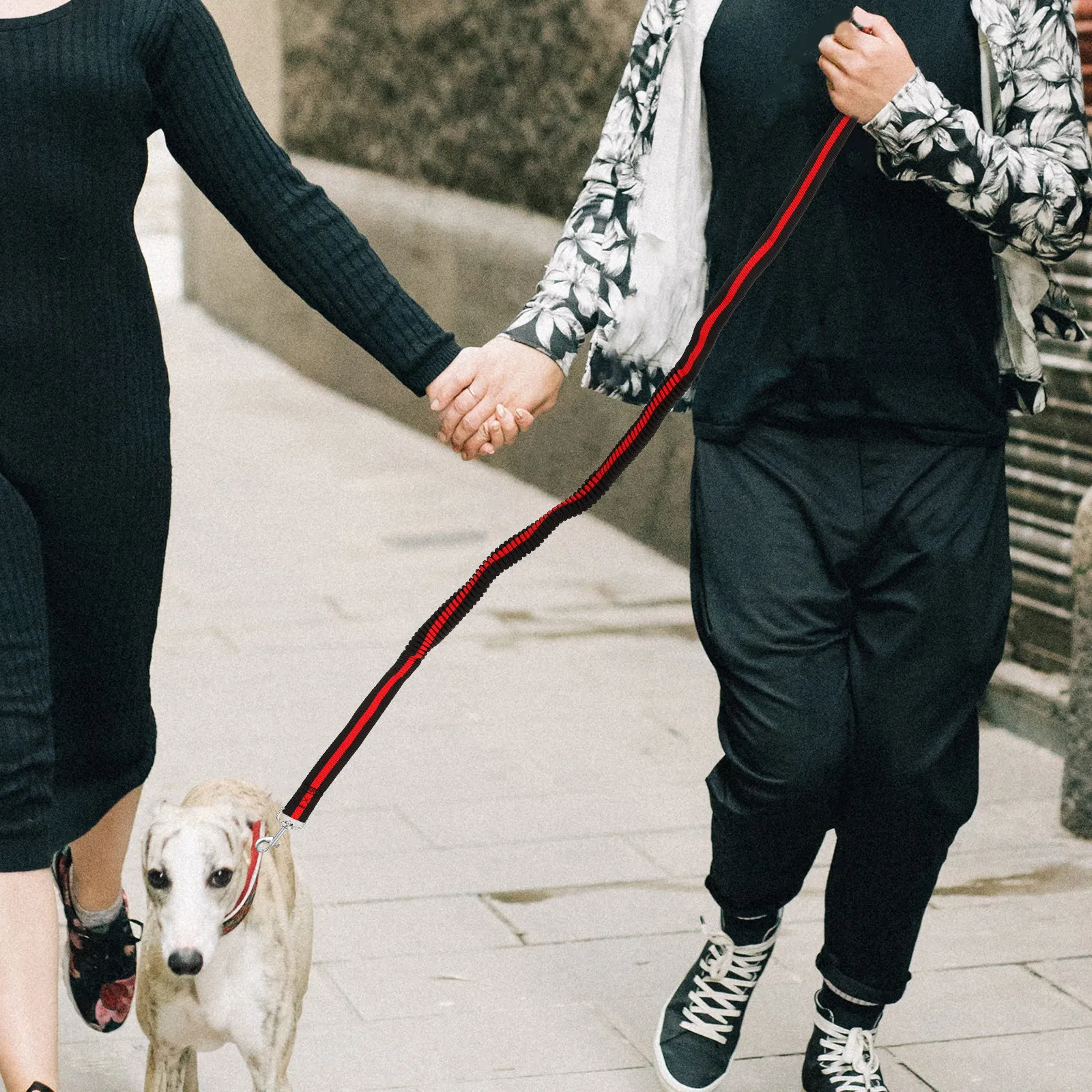 High Performance Elastic Dog Training Leash Bungee Design Reflective Strips for Safe Walking Hiking Jogging Tactical Exploration