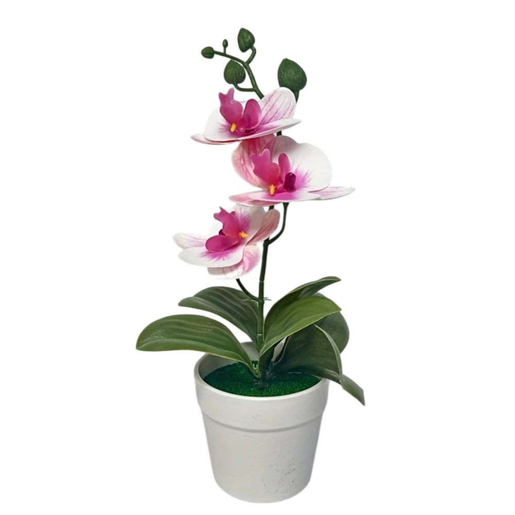 Phalaenopsis Orchid Bonsai Artificial Potted Plant for Indoor Table Desk Shelf Living Room Bedroom Office Decoration
