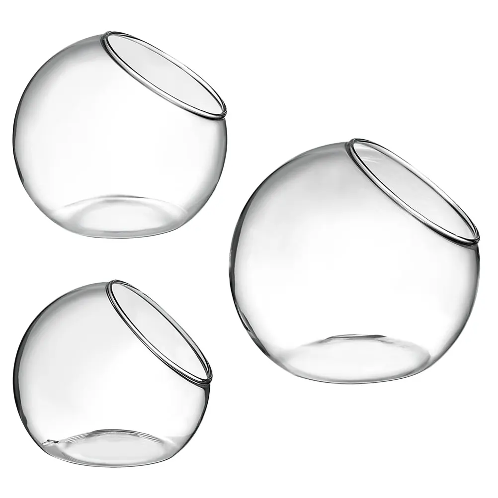 

3 Pcs Succulent Planters Hydroponics Desktop Glass Flower Pot Plants Terrarium for Office Transparent Terrariums